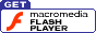 update your flash player